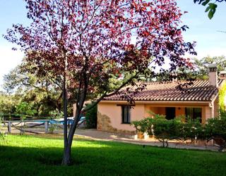 Finca Encina - piscina compartida - Alájar - 9