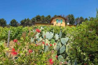 Casale Monaco by Nicola Real Estate - Corsanico-Bargecchia - 8
