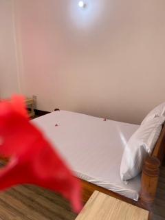 MARGOSA bungalow, ZANZIBAR - Nungwi - 5