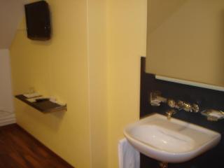 Hotel Gregory - Zurigo - 1