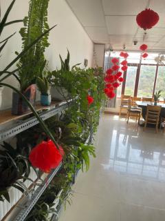 Hotel Linh 1 - 8