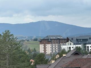 Apartman Mica - Zlatibor - 3