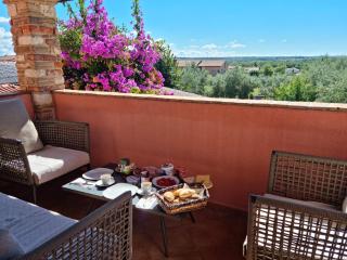 Villa Lorenzo - Vabriga - 4
