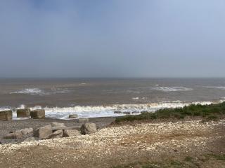 Lucys Pad - Hull - 6