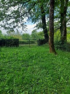 Maison au bord de l'eau, Bain nordique - Guipry-Messac - 5