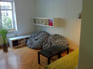 Center direct to Rhine, best for ESC & ART - Basilea - 6