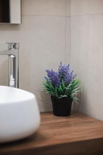 The Willows - Gozo - 9