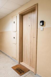 Pod Lipami Charming Apartment - Poznań - 5
