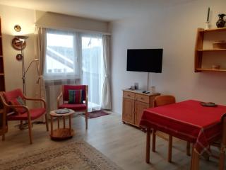 Chesa Stail'Alva 1 - Pontresina - 9