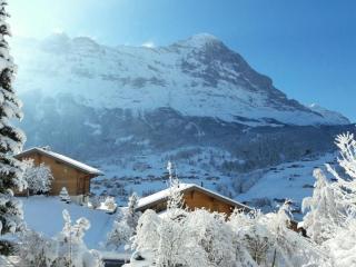 Eigerlicht 3-Zimmerwohnung - b48628 - Grindelwald - 5