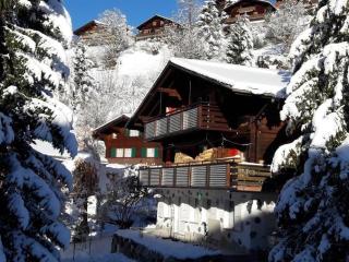 Eigerlicht 3-Zimmerwohnung - b48628 - Grindelwald - 4
