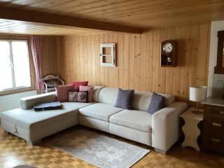 Mannried 2 12-Zimmerwohnung "Rustikal" - Zweisimmen - 7