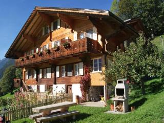 Am Eigen 2 Bett Wohnung - Grindelwald - 8