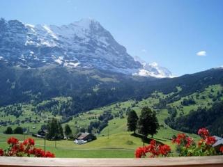 Am Eigen 2 Bett Wohnung - Grindelwald - 7