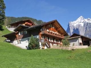 Am Eigen 2 Bett Wohnung - Grindelwald - 4
