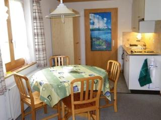 Am Eigen 2 Bett Wohnung - Grindelwald - 1