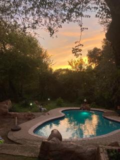 Ivory Sands Safari Lodge - Marloth Park - 3