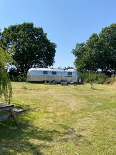 Bonnie the airstream - Country Retreat - 5