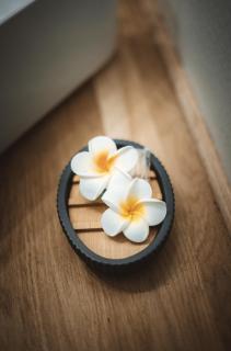 Coco Plaz', superbe appart à 5min des plages ! - Saint-Gilles-les Bains - 7