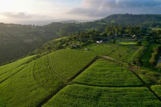 Bloom Homestead Apartment, Summerveld - Hillcrest - 8