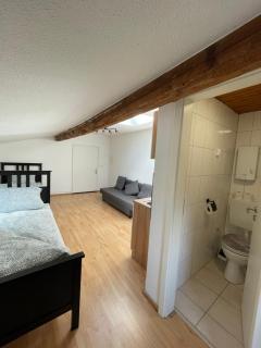 Flamingo 2 - zentrale Wohnung - Düren - Düren - Eifel - 4