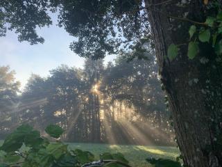 5Arsouze - Châtelus-le-Marcheix - 6