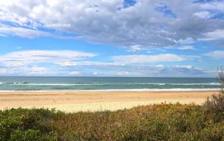 Bougainvillea - Sawtell - 1