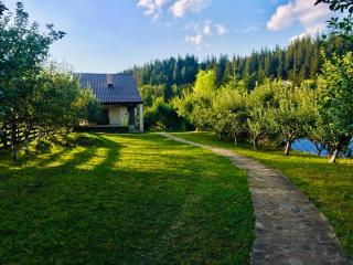 Forest Chalet Sucevita - Suceviţa - 0