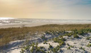 Beachfront private nature reserve Jakkalsfontein - Yzerfontein - 9