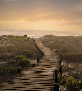 Beachfront private nature reserve Jakkalsfontein - Yzerfontein - 8