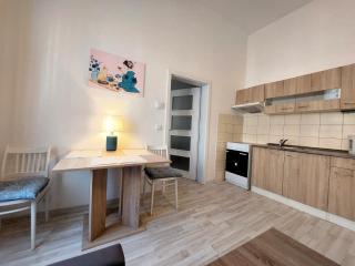 Apartment ČSA #1 in the Historic Center Hradec Králové - Hradec Králové - 4