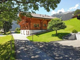 Bergtraum - Grindelwald - 9