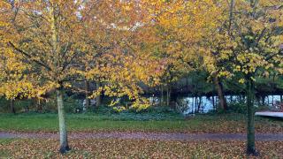 Kleines Grachtenhaus - Simmerdeis an der Gracht - 3