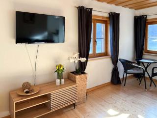 Appartementgitti - Hallstatt - 5