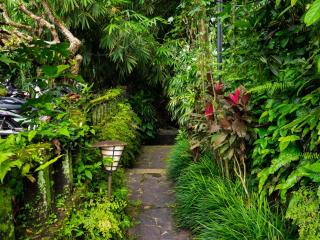 Heaven View 9 BR Best Nature Visuals Ubud Sayan - Ubud - 5