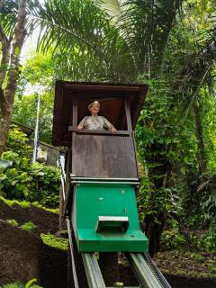 Heaven View 9 BR Best Nature Visuals Ubud Sayan - Ubud - 4