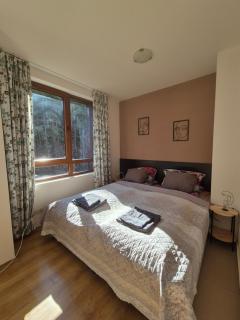 Cozy forest view studio in a SPA hotel - Bansko - 0