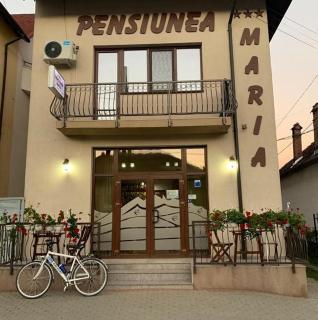 Pensiunea Maria - 0