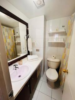 Departamento bellas artes - Santiago - 6
