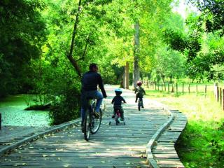 Dolce vita en centre ville - 3