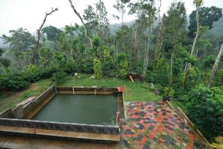 Coorg Sana Riverside - Suntikoppa - 2