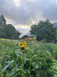 Turismo Rural Los Alpes - 8
