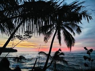 sunsetlodge Mentawai - - 1