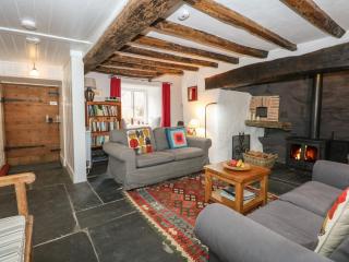 Tafarn Trip - Blaenau-Ffestiniog - 6
