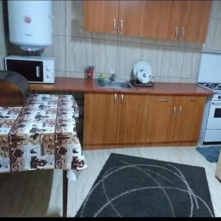 Casele Manea - Buşteni - 8
