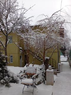 Casele Manea - Buşteni - 7