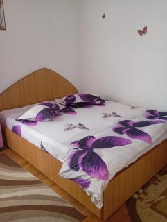 Casele Manea - Buşteni - 3
