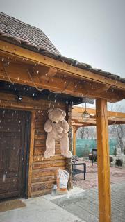 Căsuța cu tihnă - 9