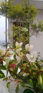 Yogam Homestay Agra - 3
