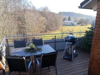 Ferienwohnung Alter Farbhof - Ühlingen-Birkendorf - 9